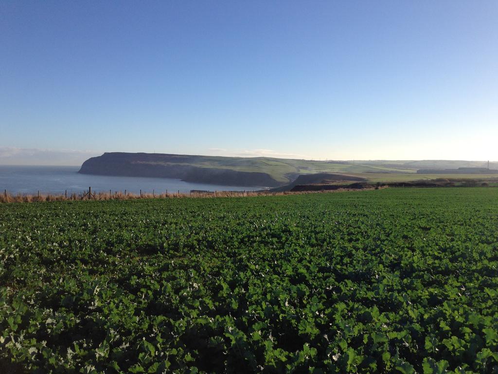 Moonfleet Boutique Hotel Skinningrove Exteriér fotografie